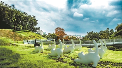 走在云道，看花看展看AR